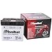 Produktbild Novelbat Y60-N24L-A Motorradbatterie 12V 28Ah 280A