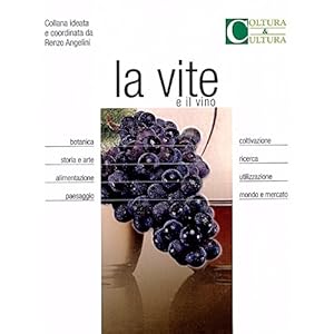 La vite e il vino