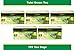 Green Tea with Tulsi (5 pack of 25 Tea Bag) RS.445.00