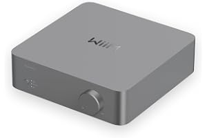 WiiM Vibelink Amp Stereoförstärkare för Passiva Högtalare, Rymdgrå | Uppgradera Dina Favorit­högtalare med Kraftfull Förstärkning i Audiofilklass och Modern Hi-Fi-Prestanda