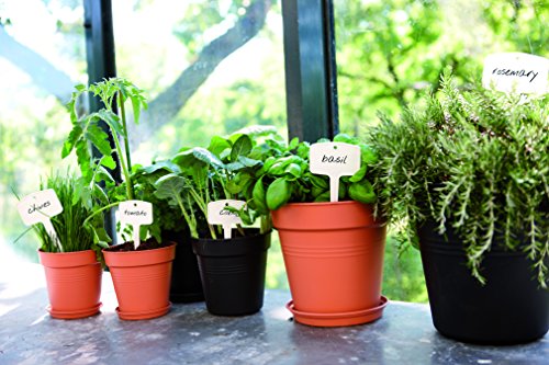 elho Green Basics Anzuchttopf 30cm – Lebhaft Schwarz - 3