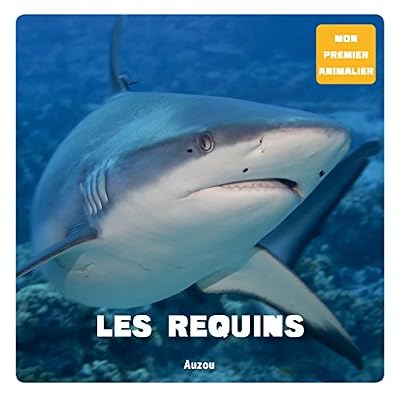 Patrick David Les Requins