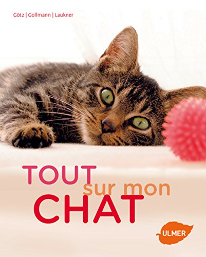<a href="/node/22816">Tout sur mon chat</a>