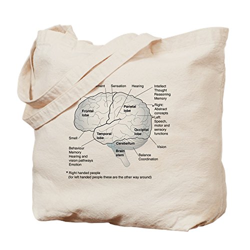 bolsa con zonas del cerebro