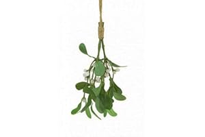 Floristrywarehouse Bouquet de gui 20 cm s'embrassant Plante