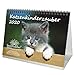 Produktbild Katzenkinderzauber DIN A5 Tischkalender 2020 Katzenkinder Katzenbabys und zusätzlich 1 Grußkarte - Seelenzauber