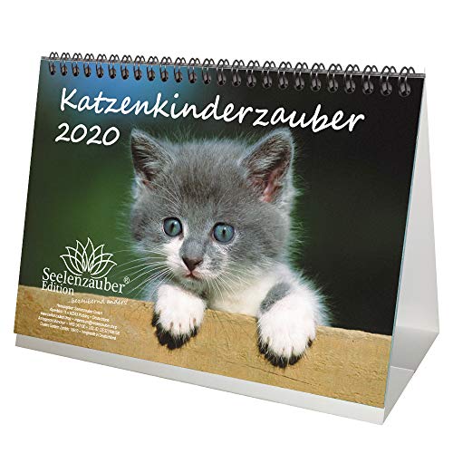 Preisvergleich Produktbild Katzenkinderzauber DIN A5 Tischkalender 2020 Katzenkinder Katzenbabys und zusätzlich 1 Grußkarte - Seelenzauber