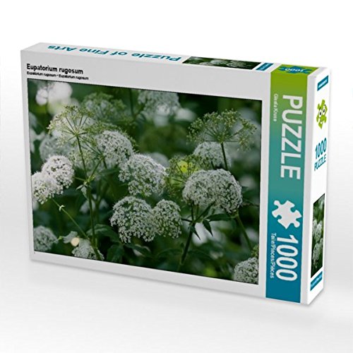 Preisvergleich Produktbild Eupatorium rugosum 1000 Teile Puzzle quer