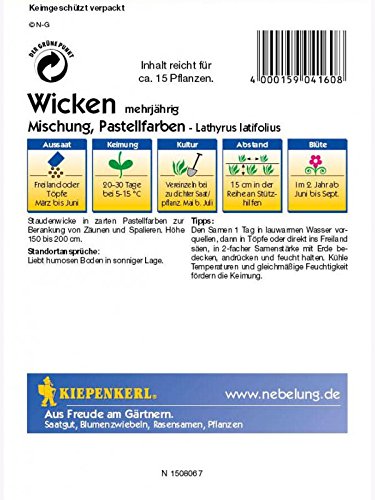 Kiepenkerl Lathyrus latifolius Mischung - 2