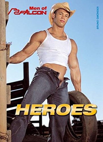 Heroes: Men of Falcon