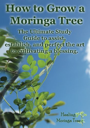 How to grow a Moringa Tree: The Ultimate Study Guide to assist, establish, and perfect the art to cultivating a blessing.