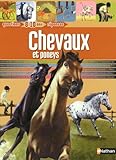 Chevaux et poneys