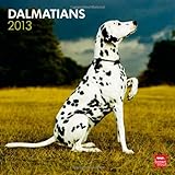 Dalmatians 2013 - Dalmatiner - Original BrownTrout-Kalender by