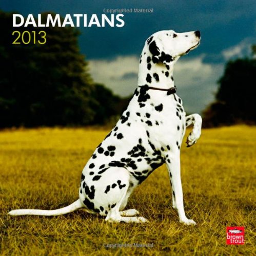 Dalmatians 2013 - Dalmatiner - Original BrownTrout-Kalender