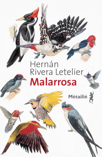 couverture de : Malarossa