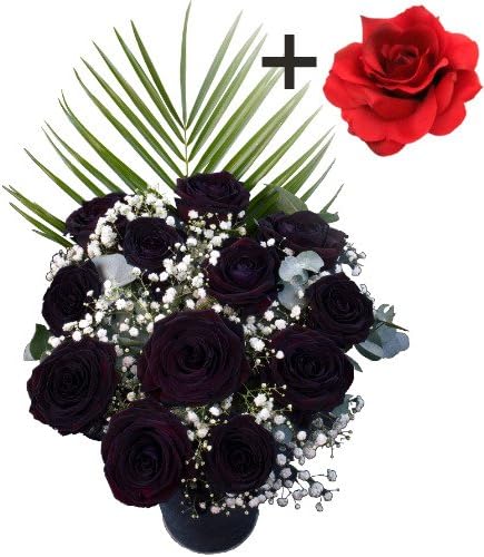The Ultimate 12 Roses - A Luxury Bouquet of 11 gorgeous Black Roses and a single Red Silk Rose presented in the middle of the Bouquet with FREE Delivery