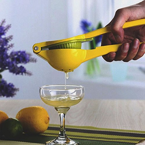 Zitruspresse Die beste Zitronenpresse – Zitronenpresse Limettenpresse Zitruspresse Premium Qualität in Edelstahl – Hand-Zitruspresse handelsüblicher Qualität – 100% Zufriedenheitsgarantie - 8