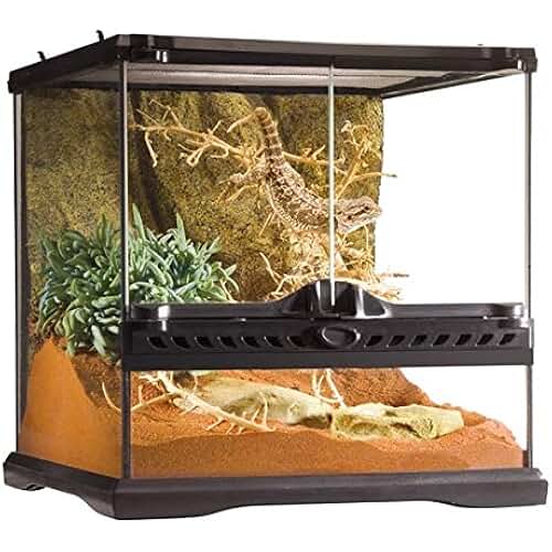 Amazon.fr terrarium verre