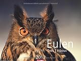 Eulen 2013 by 