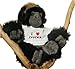 Produktbild Gorilla Plüschtier mit T-shirt mit Aufschrift Ich liebe Evgenia (Vorname/Zuname/Spitzname)