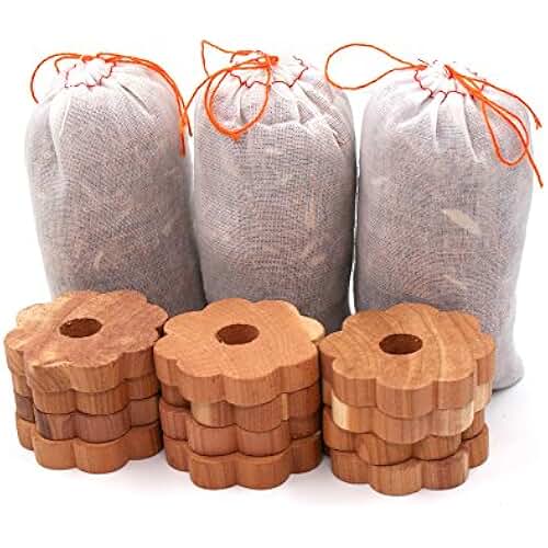 Amazon.fr boule de naphtaline Jardin