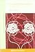 La valentía de amar : principios y prácticas de la psicoterapia de las interacciones del yo (Psicologia (rigden)) - Stephen Gilligan, Miguel Iribarren Berrade