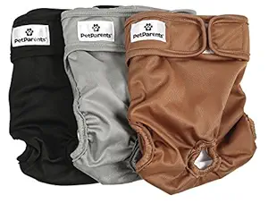 Pet Parents Washable Dog Diapers (3Pack) of Doggie Diapers, Color: Natural, XSmall Dog Diapers