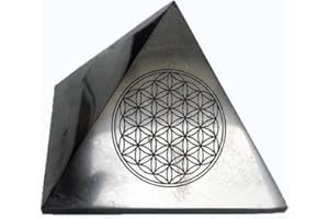 SN NATURSTEIN UG KASHU Shungite directement de Carélie : pyramide 10 cm fleur de vie polie