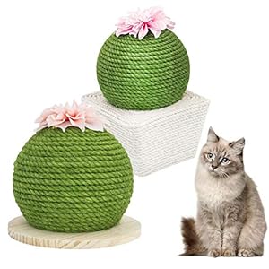 chivalrylist Gato Rascador de Cactus con Bola, Rascador para Gatos, Forma de Bola de Cactus Sisal, Gato Rascador con Flores y Hierba Gata, Juguete Interactivo para Gatos