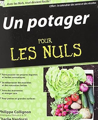 First Un potager pour les Nuls