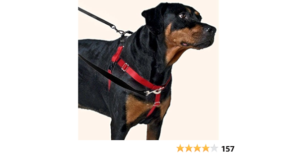 freedom dog harness amazon
