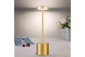 bravzurg Lampe de table LED sans fil rechargeable usb, 5000mAh lampe de bureau puissante pile, Lumiere tactile, 3 modes de couleur, pour chevet, camping, exterieur, interieur, terrasse, restaurant