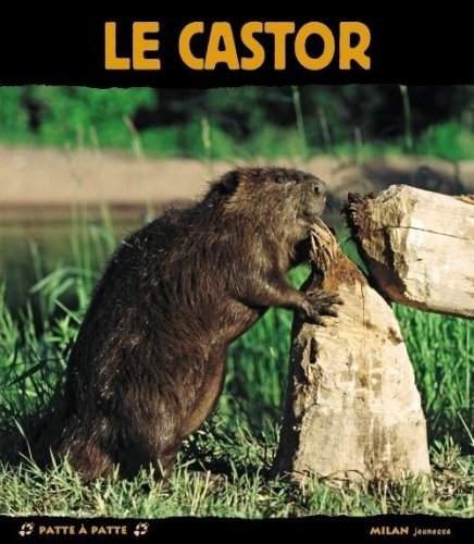 couverture de : Le castor