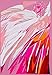 Produktbild Unbekannt Chloe Croft London Amaranth Flamingos Limited Edition Fine Art Print Größe D, Pink/Cerise/Magenta/weiß