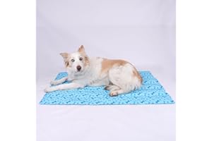 SMELL & SMILE Alfombra Refrescante para Perro 50 * 65CM Alfombrilla de Refrigeración para Animales de Compañía Alfombrilla refrescante para Mascotas (Azul50*65CM)