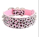 Schutz Ihr Hunde vor Beissen von andre Tiere.