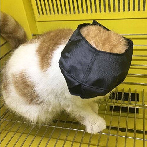 Preisvergleich Produktbild Zantec Kreative Katze, verstellbar, Schwarz, Blindfold Maulkorb Haustierbedarf