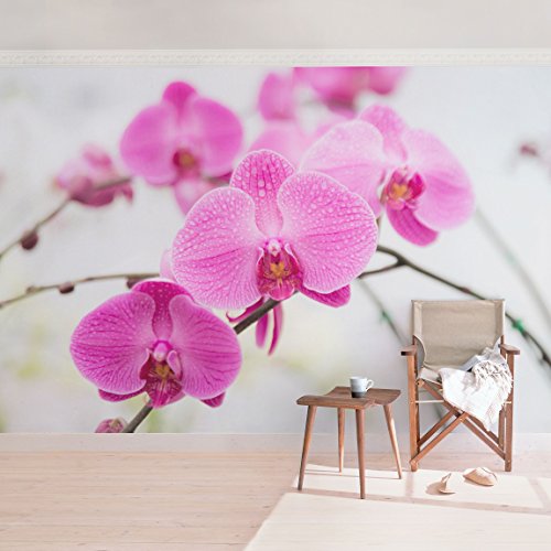 Vliestapete – Nahaufnahme Orchidee – Fototapete Breit Vlies Tapete Wandtapete Wandbild Foto 3D Fototapete, Größe HxB: 225cm x 336cm - 2