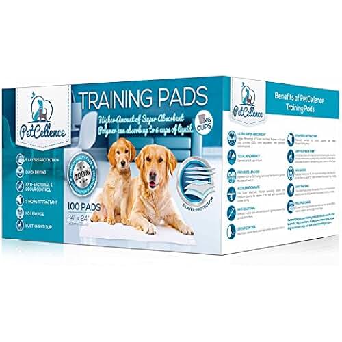 Amazon.co.uk incontinence pads for dogs