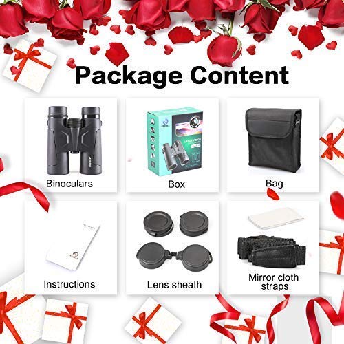 NOCOEX Prismáticos Pequeños y Potentes10X42 con Prismas de Techo Roof BAK4. Binoculares Profesionales Ideales Para Para Niños,Actividades Al Aire Libre. Color Negro - NOCOEX
