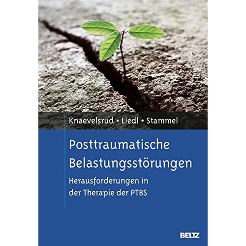 [PDF] Posttraumatische Belastungsstörungen: Herausforderungen in der Therapie der PTBS KOSTENLOS DOWNLOAD