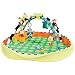 Sassy Pop Developmental Playmat