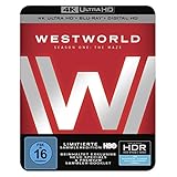 Westworld Staffel 1: Das Labyrinth (4K Ultra HD + 2D-Blu-ray) (6-Disc Version)