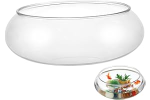 Milisten Réservoir D'Aquarium Transparent Multifonction 24X24X4 Pouces Réservoir Betta en Plastique pour Bureau Décoration Intérieure Poissons Rouges Et Plantes