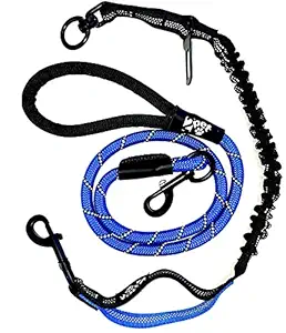 2PET Retractable Bungee 4 in 1 Leash for Dogs. Running, Training, Walking and Car Securing Strap with Reflective Stitching for Visibility?Blue