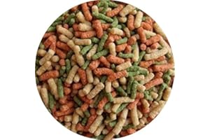 FISCHFUTTERTREFF Teichsticks Teichfutter Gartenteich Sticks Koifutter Fischfutter ROT GRÜN HELL (20 l)