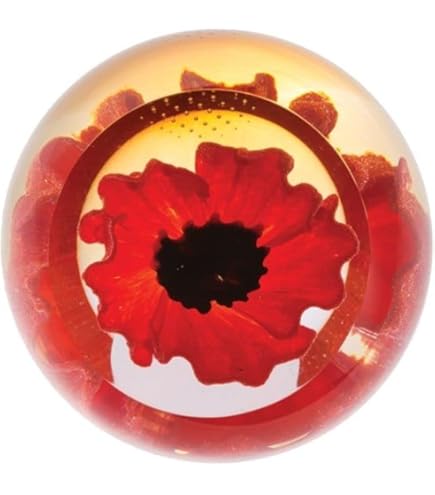Caithness Glass Remembrance Poppy Paperweight | Red | 64mm X 64mm | Handmade In Scotland | A Handmade Glass Poppy Floats Within This Faceted - View #8