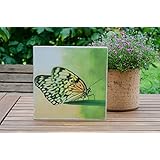 Schmetterling, Holzdruck, im Quadrat, 20 cm x20 cm
