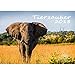 Produktbild Premium Kalender 2018 · DIN A3 · Tierzauber · Tiere · Wildnis · Natur · Edition Seelenzauber