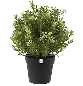 Fun Homes Mini Plastic Potted Plants for Home Office Decoration, Plastic Plant with Black Plastic Pots, Fake Plant for Bathroom D